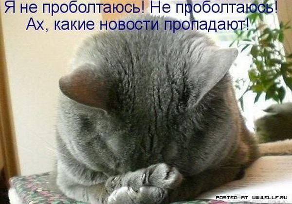 ���������� �������