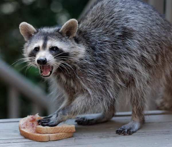 ������������