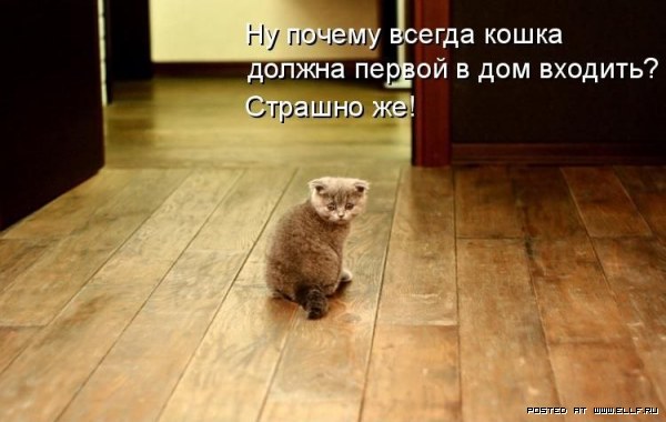 ���������� �������