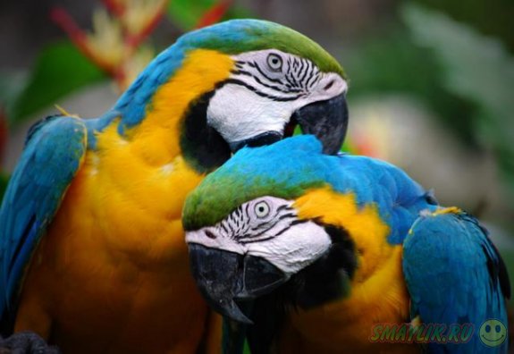 ���� � ��������