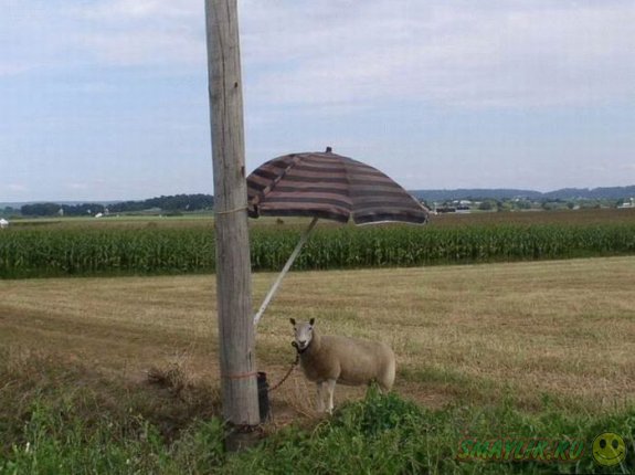 ���������� �����