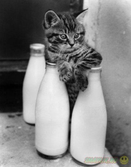 ���������� �����