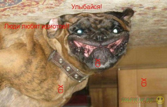 �������������