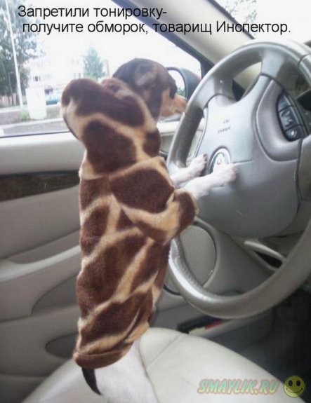 �������������