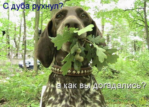 �������������