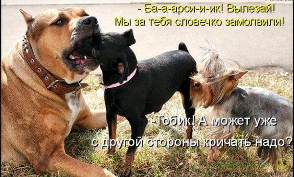 �������������