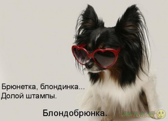 �������������