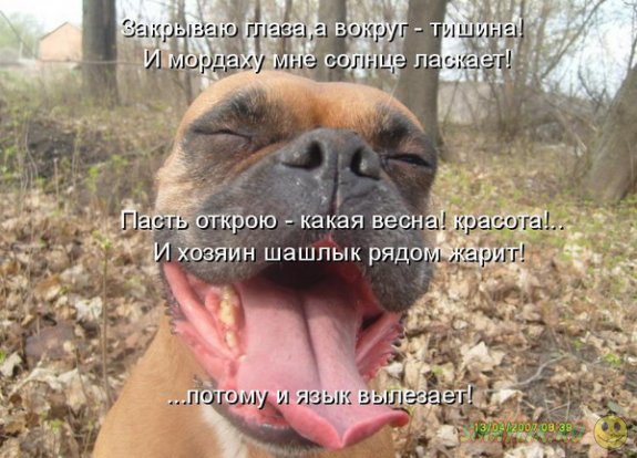 �������������