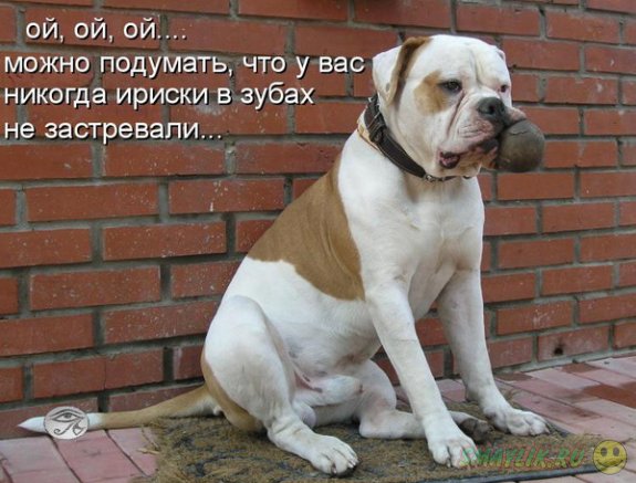 �������������