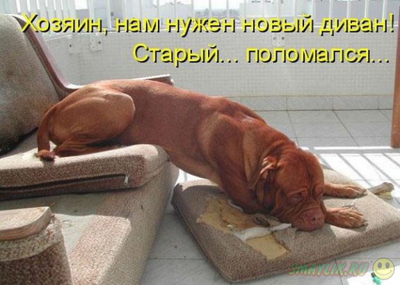 �������������