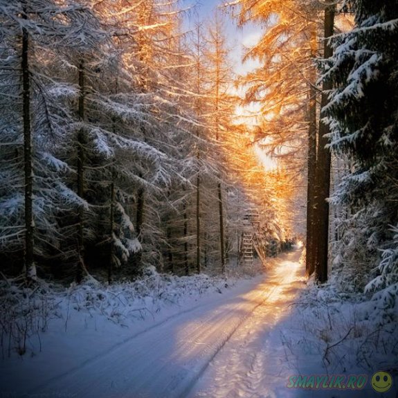 ������������ � ���� � �� ������ 