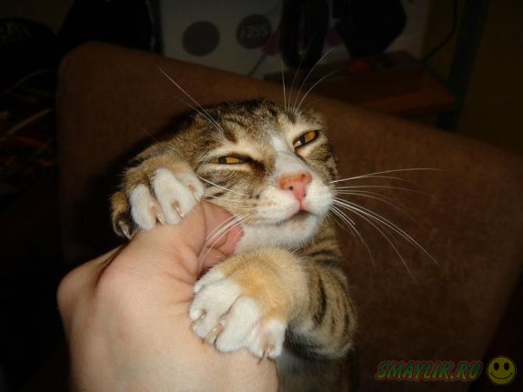 ������������