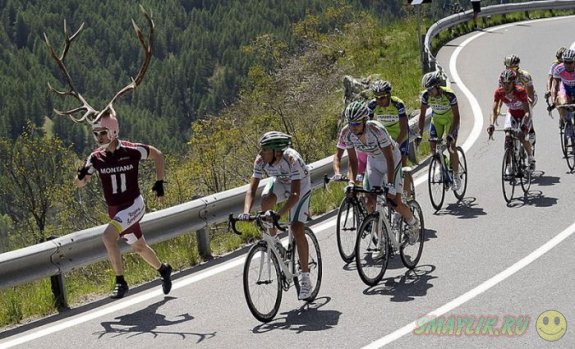 ������������