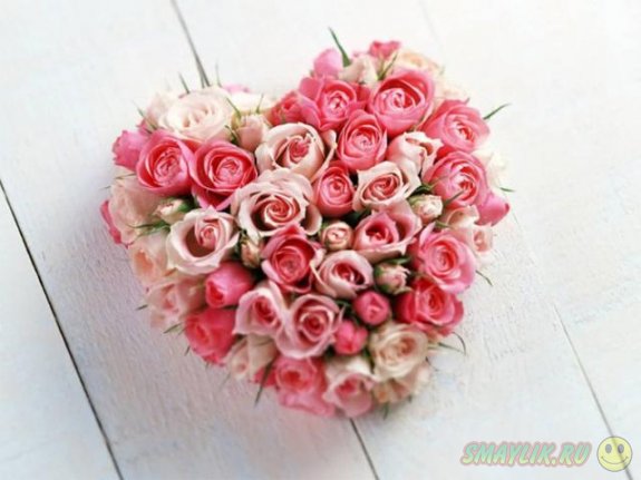 ������������� ����������