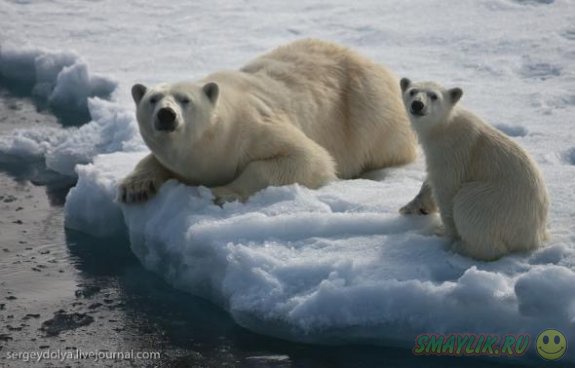 �������� ������