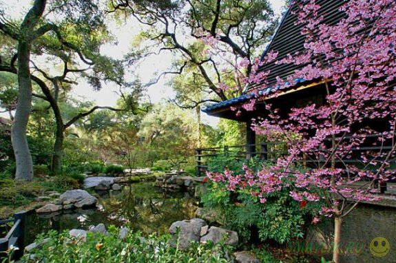 ����� �������� ���� �� �����