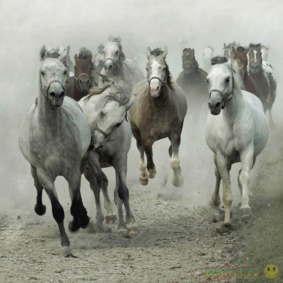 ��������� ������� �������