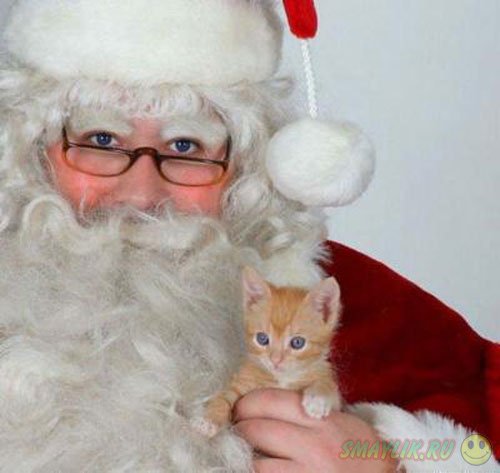 ���������� ����������