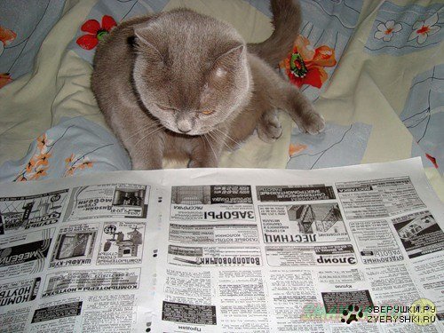 ������ ����!