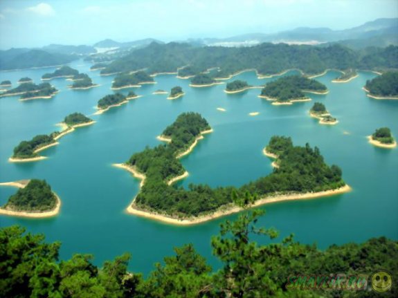 ����� ������ ��������