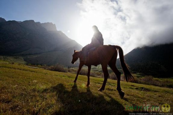 ������� ��������