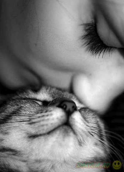 ������, ��� ������ ���������� ����� 2