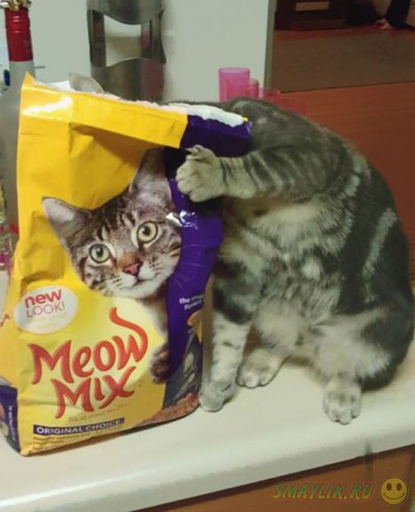 ������� �� ����