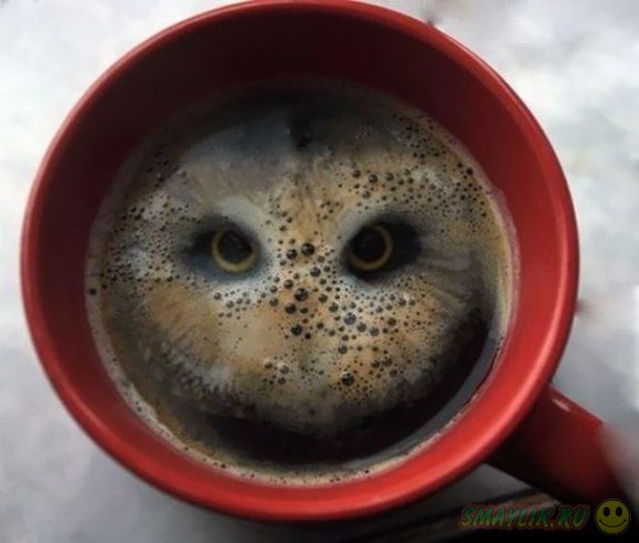 ������� �� ����