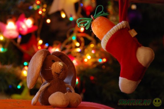 � ����� ���������