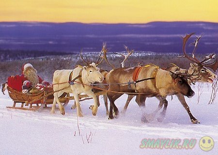 ���������: ��������� ������  ������� �����