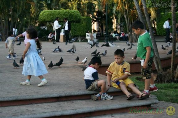 � ������ ������ ������ �� ������ �������� ��������