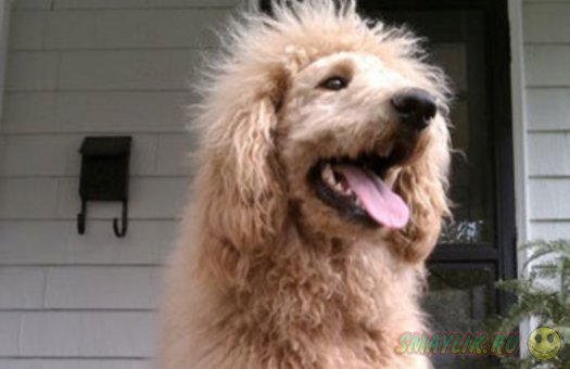 � ��� ��������� �� ����� ��� ������� �� ���������� ����