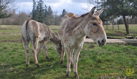 ��������� ����������� ��������� ����� ��������� �� ����� �� �����