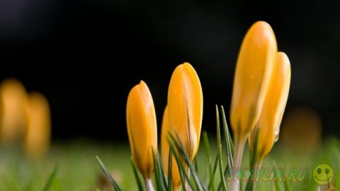 ��������� ����������!