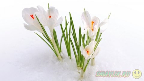 ��������� ����������!