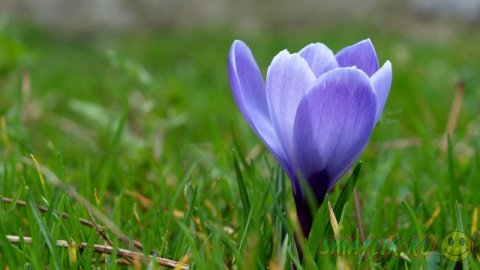 ��������� ����������!