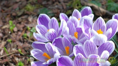 ��������� ����������!