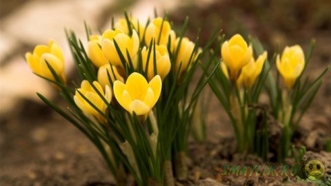 ��������� ����������!