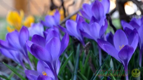 ��������� ����������!