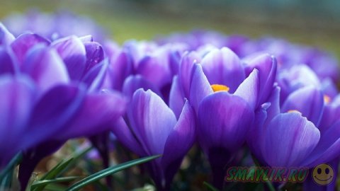 ��������� ����������!