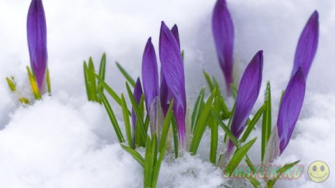 ��������� ����������!