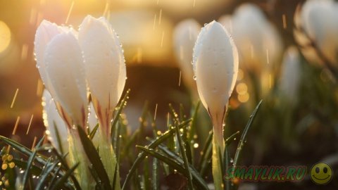 ��������� ����������!