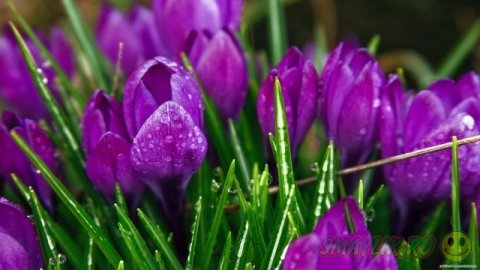 ��������� ����������!