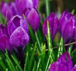 ��������� ����������!