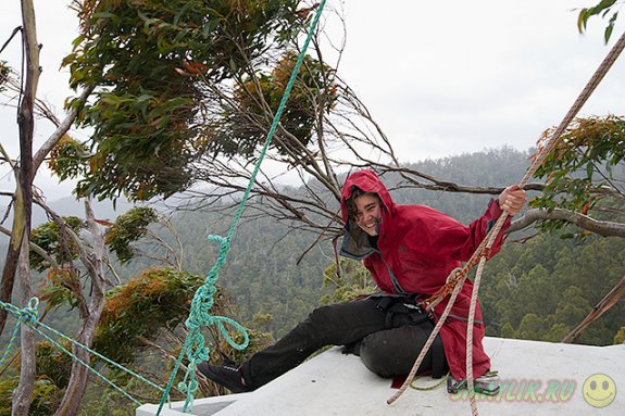 � ��������� ������������ ���������� �������� ������� �� 15 ������� ���������� � ������