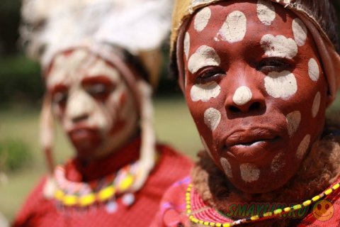 ����� ������ ������� "������" 