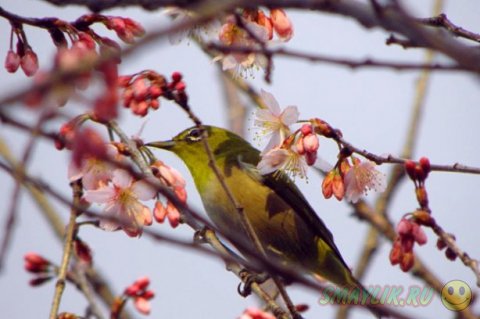 � ������  ������ ������