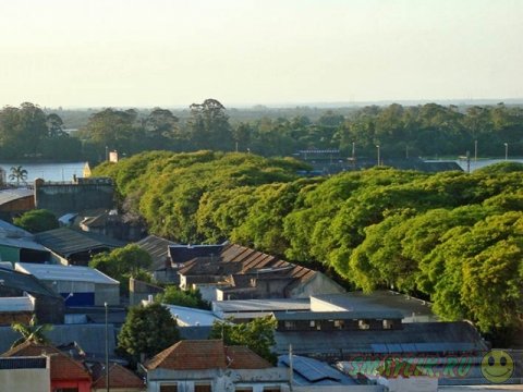 Rui Goncalo de Carvalho - ����� �������� ����� � ����