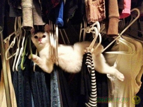 ������ ����� ��� �����