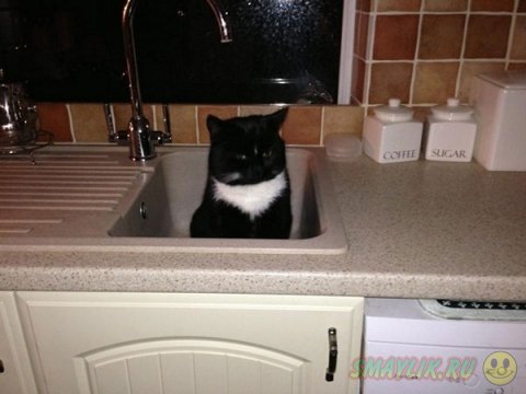 ������ ����� ��� �����